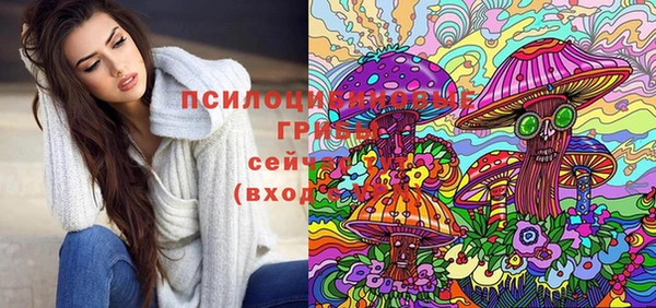 2c-b Верхний Тагил