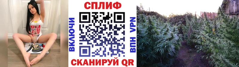 Канабис тримм Купить Усть-Джегута
